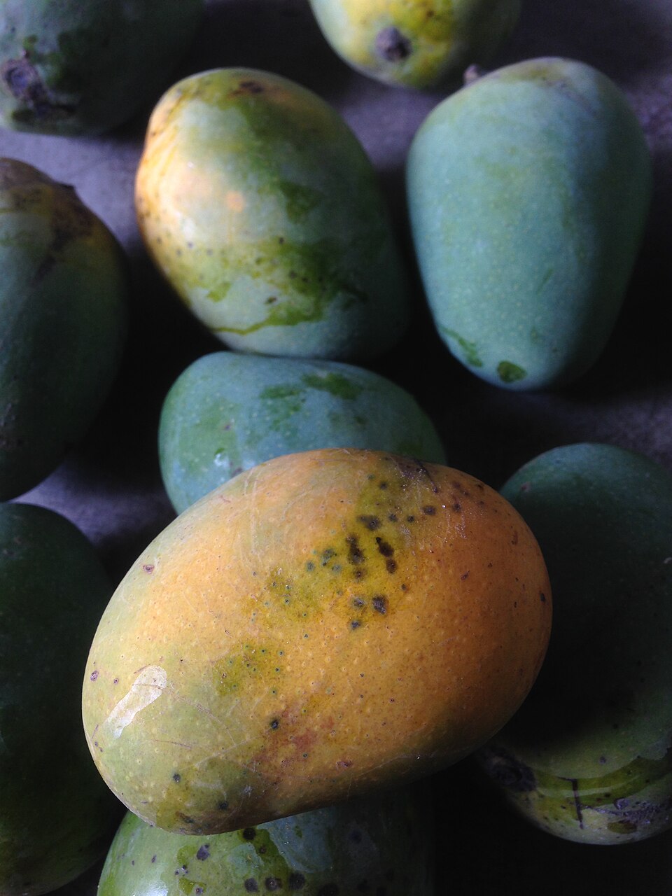 Fresh whole mangoes