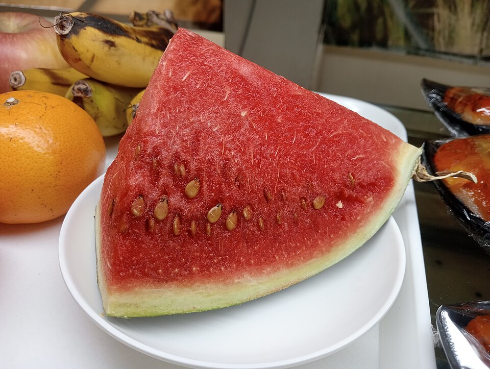 Fresh watermelon slice on a plate